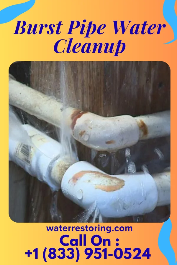 Burst Pipe Water Cleanup in Grayson, OK